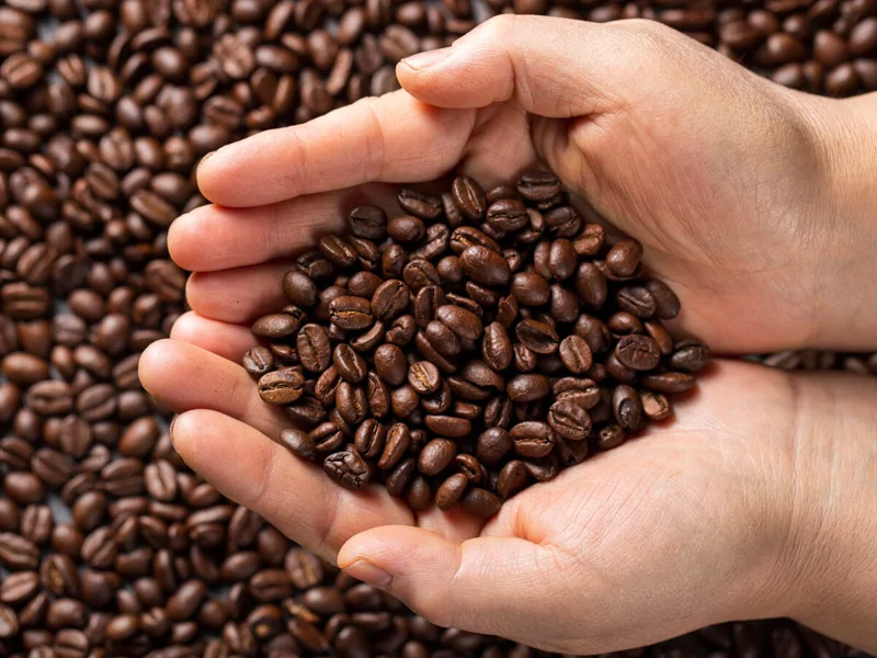 gallery-coffee-bean-68872352f18ba