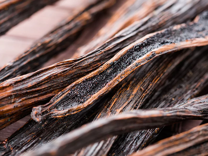 gallery-vanilla-6887235517931