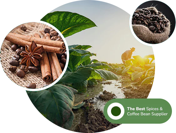 Profil NGE (1) Profil NGE (1)