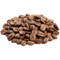arabica-coffee-bean-688c2b17afdf1