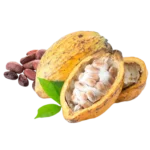 cocoa-bean-688c2b0d53708 Cocoa