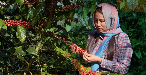 gambar-home-5-6891a9b67e1ac gambar-home-5-6891a9b67e1ac