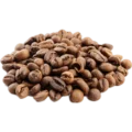 robusta-coffee-bean-688c2b192c8f6
